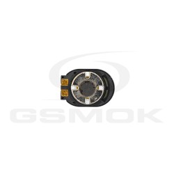 BUZZER CAT S31