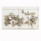 SCREWS IPHONE 7 PLUS -KIT ROSE GOLD SCREWS IPHONE 7 PLUS -KIT ROSE GOLD